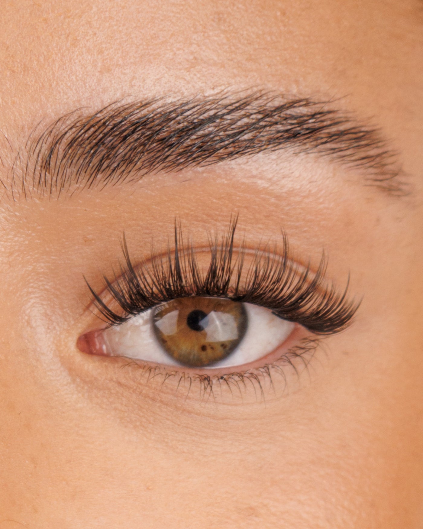 Krazy In Love Pre-Mapped Lashes