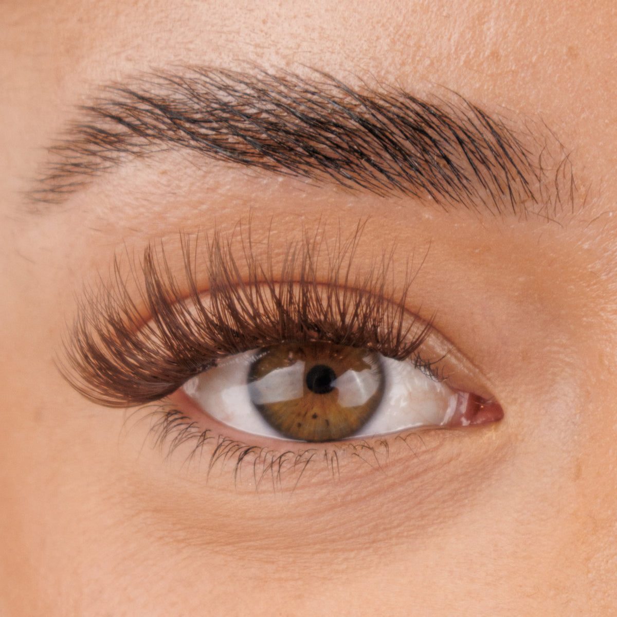 Pre glued Half-Full lash No.10