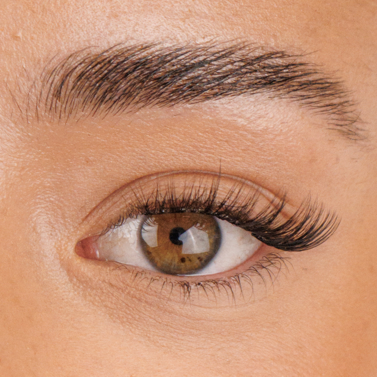 Pre glued Half-Full lash No.8