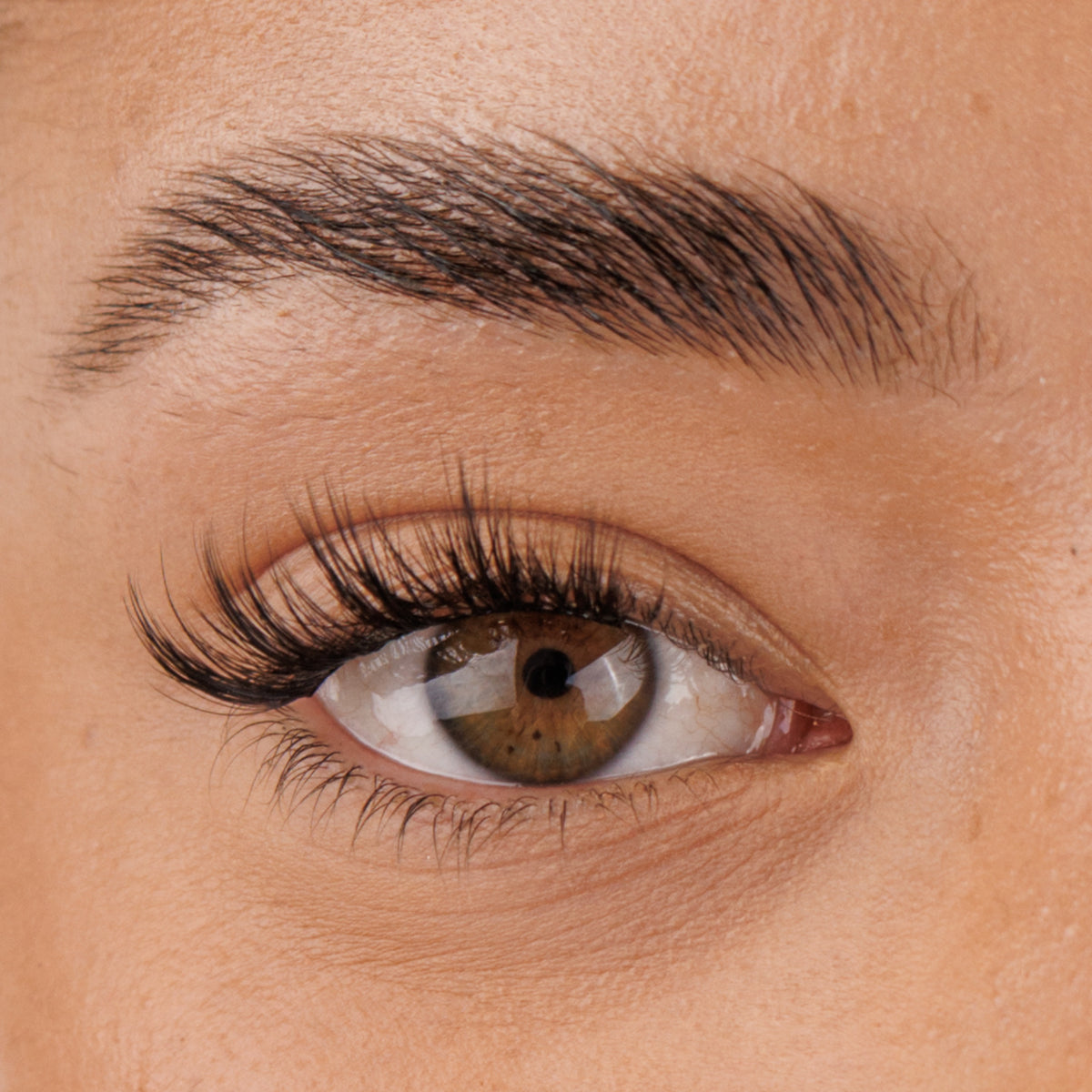Pre-Glued Half Lash No.6