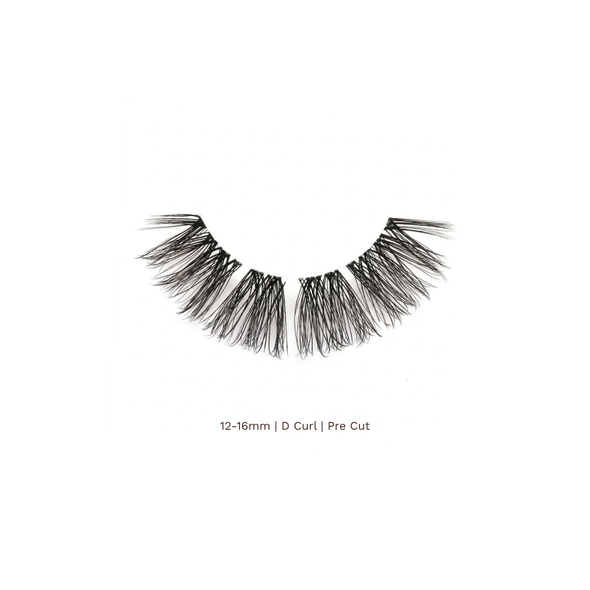 Dolly Pre-Mapped Lashes
