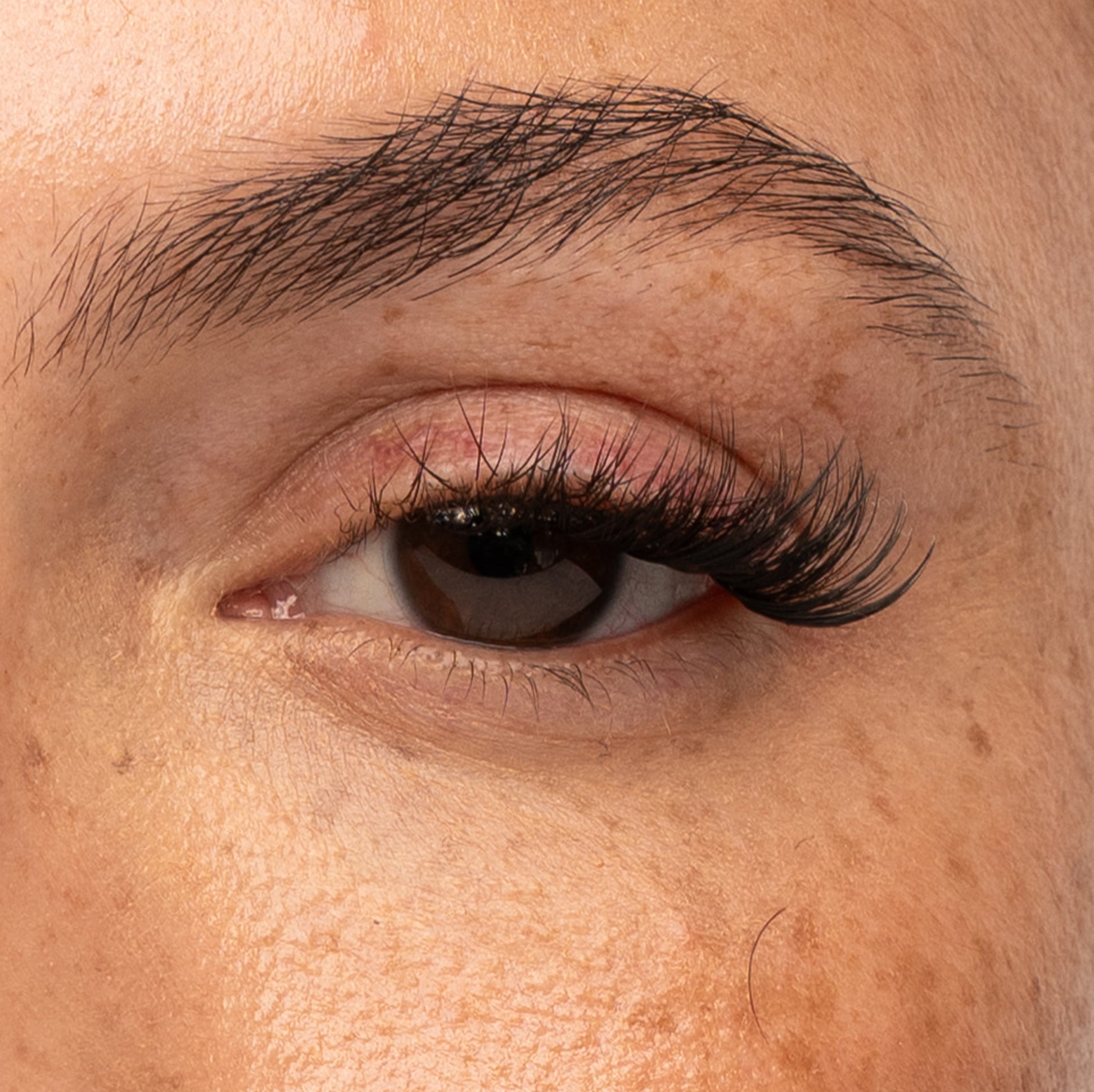 Pre-Glued Half Lash No.5
