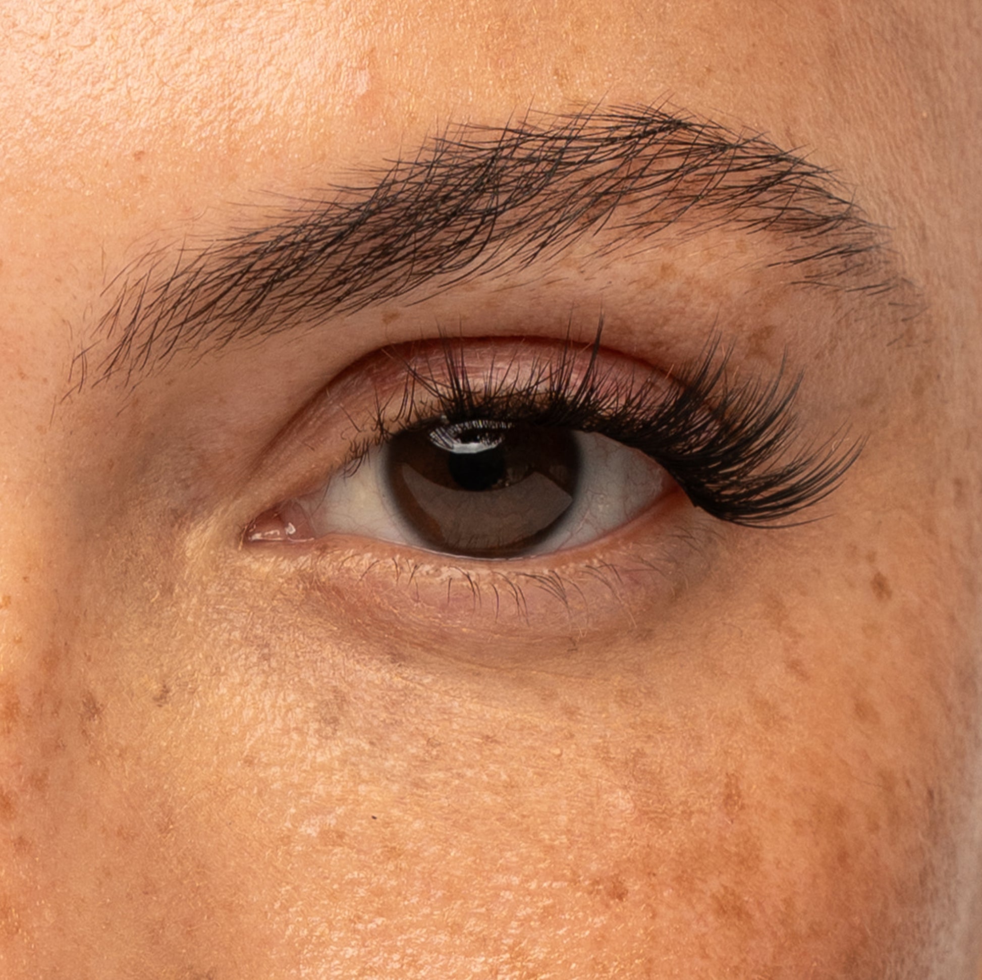 Pre-Glued Half Lash No.6