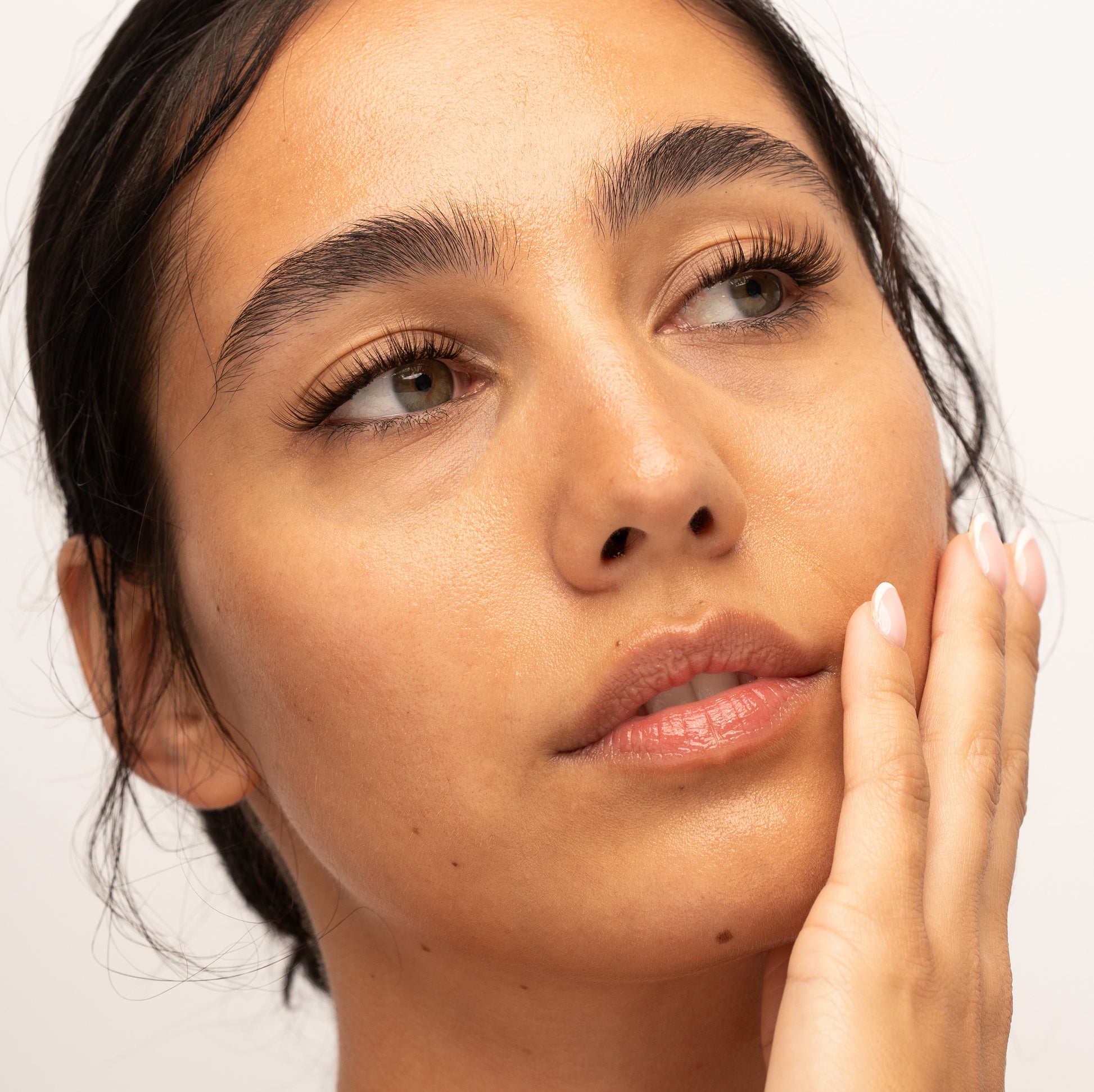 The Classy One Brown Pre-Cut Lashes