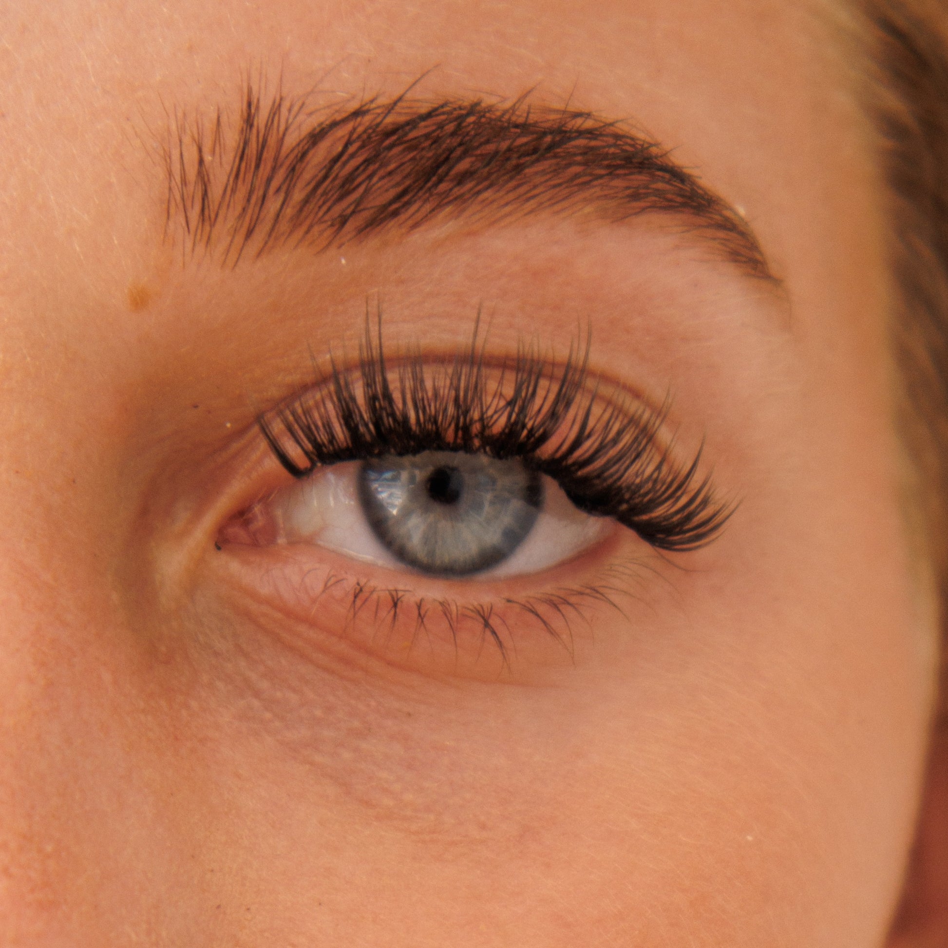 Krazy In Love Pre-Mapped Lashes
