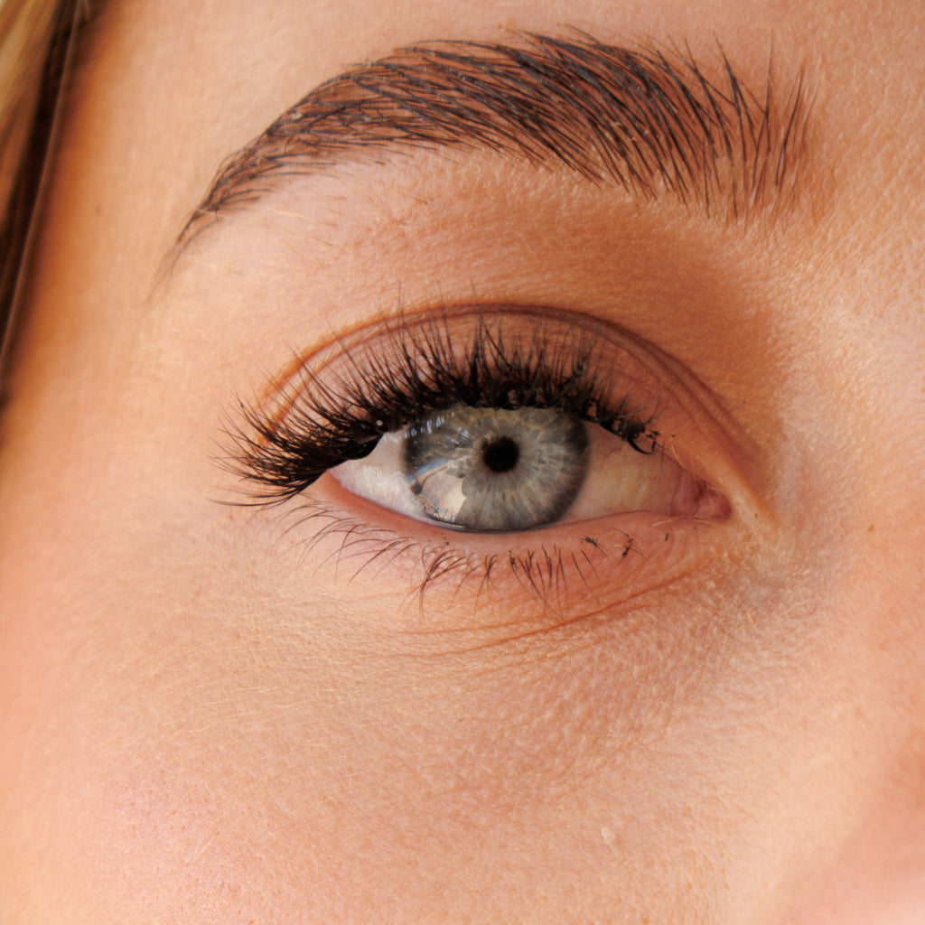 Pre Glued Half-Full Lash No.7
