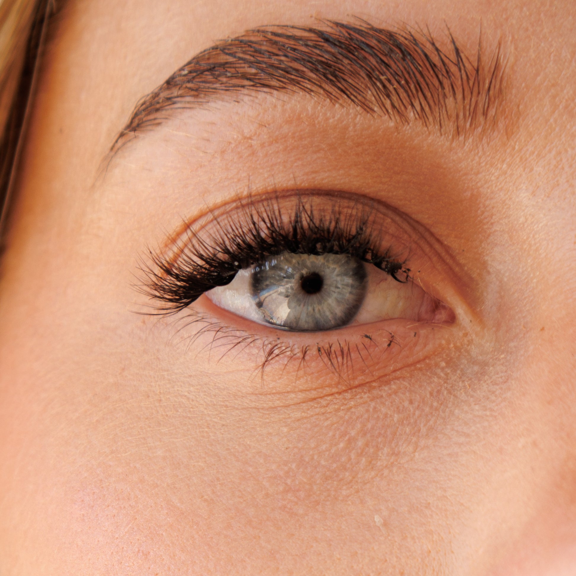 Pre Glued Half-Full Lash No.7