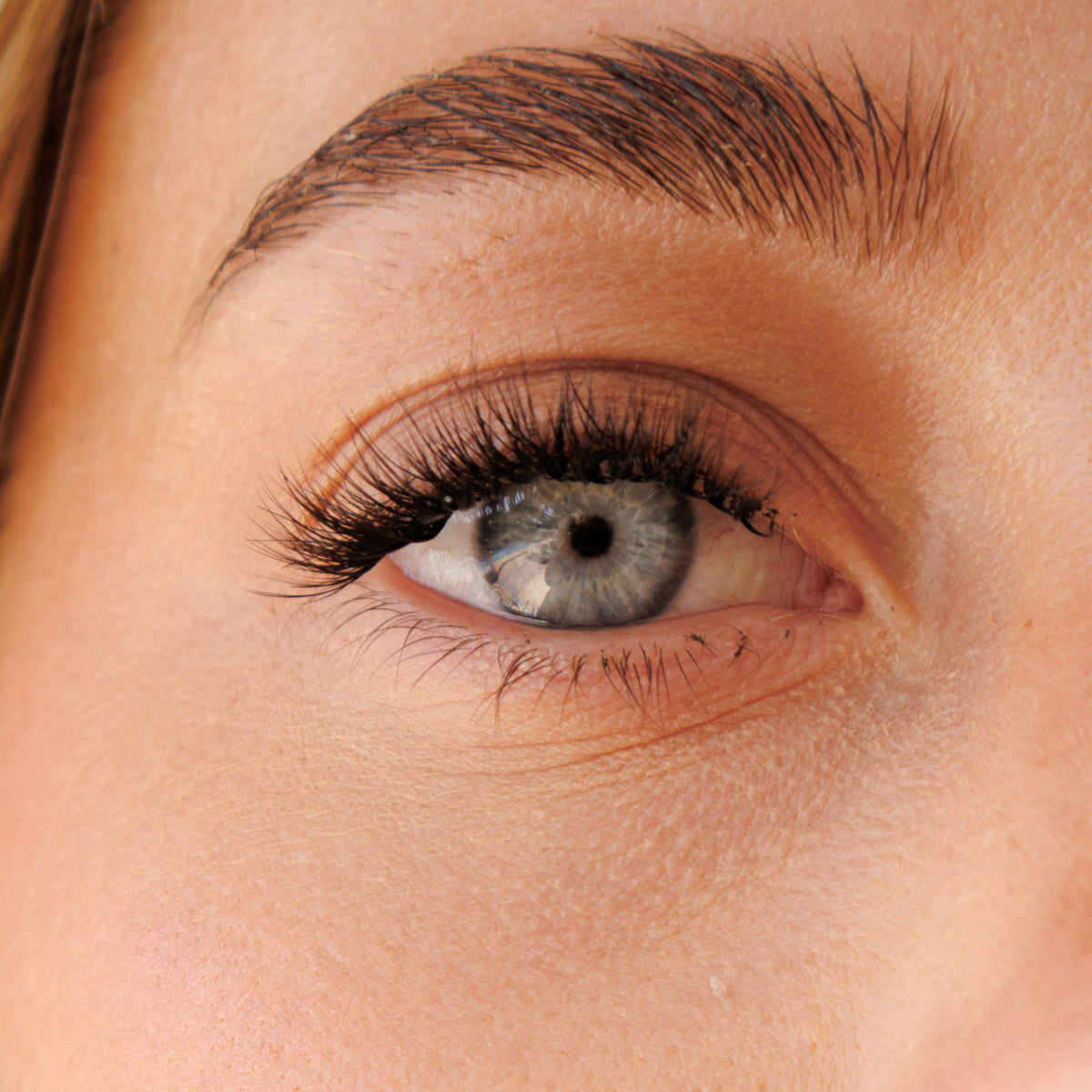 Pre Glued Half-Full Lash No.7