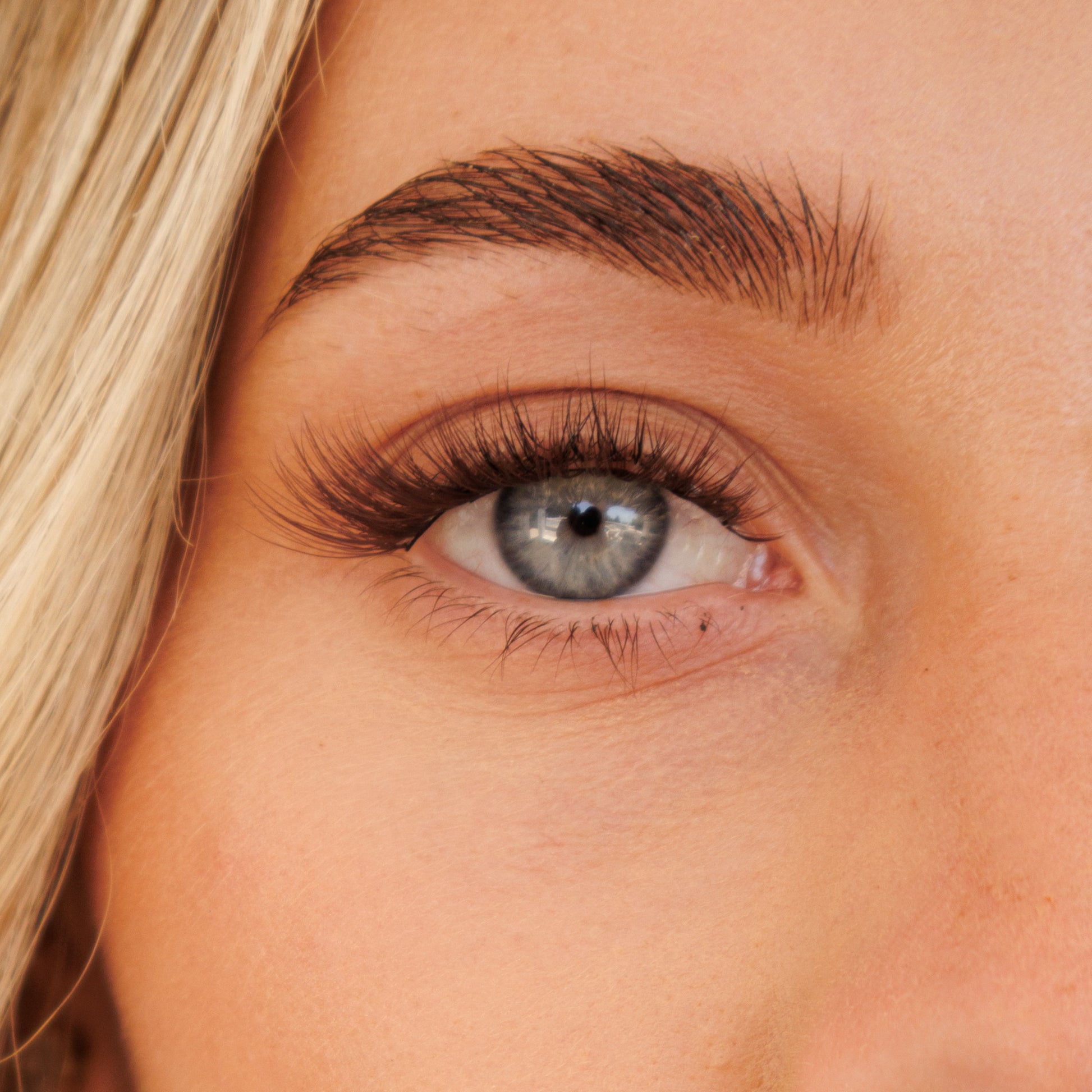 Pre glued Half-Full lash No.9