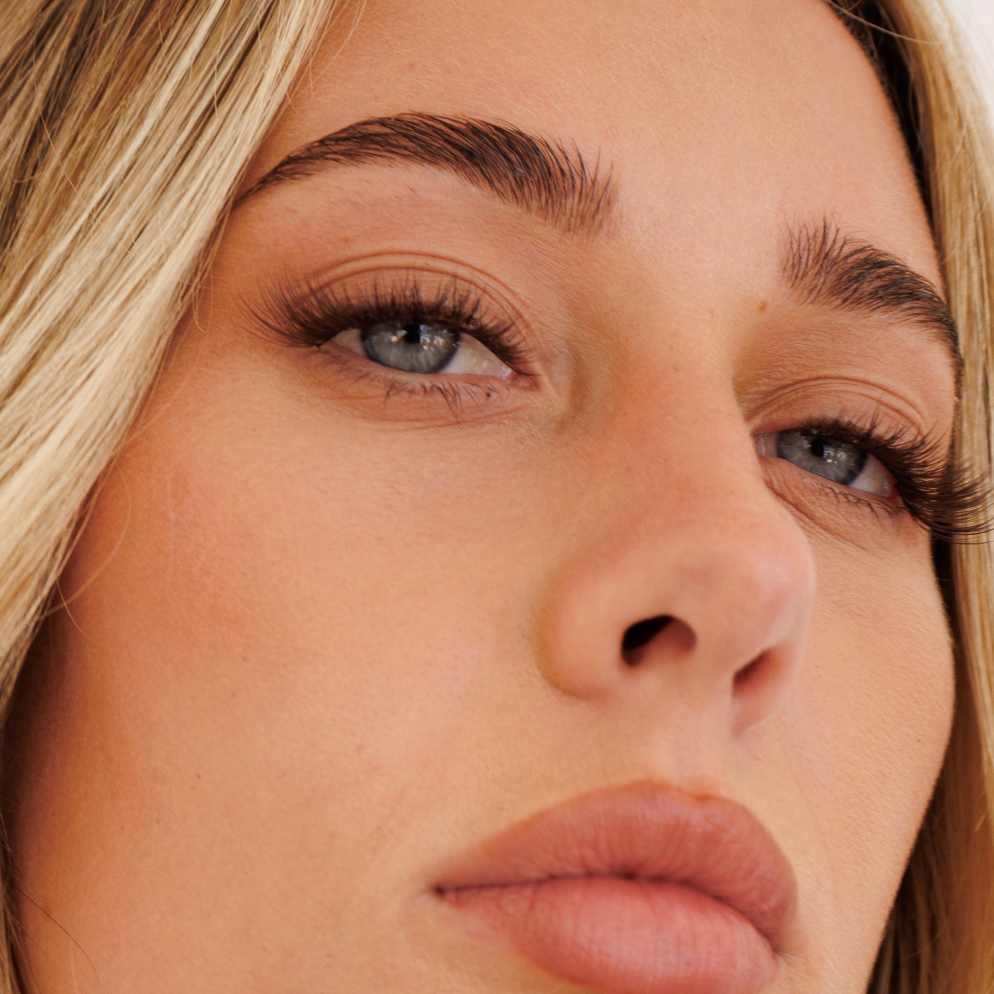 Pre glued Half-Full lash No.9