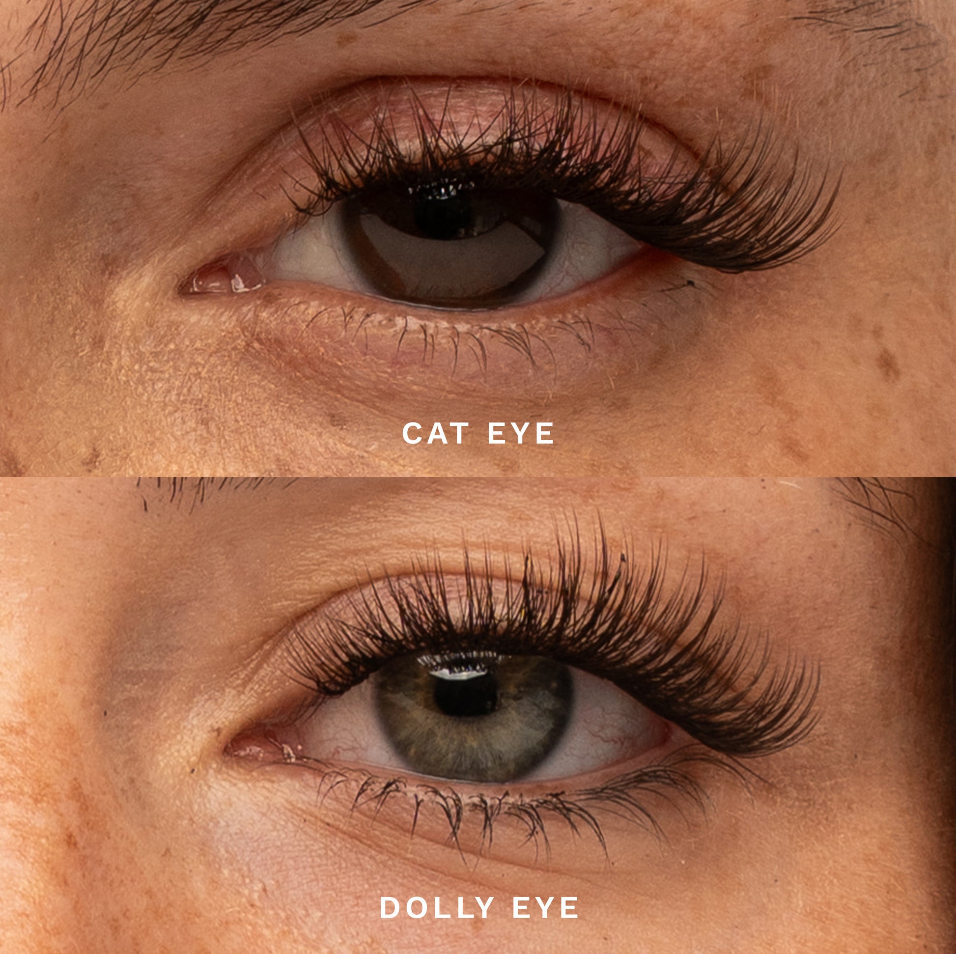 Mocha Custom Length individual Lashes