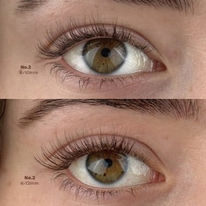Pre-Glued Half Lash No.2