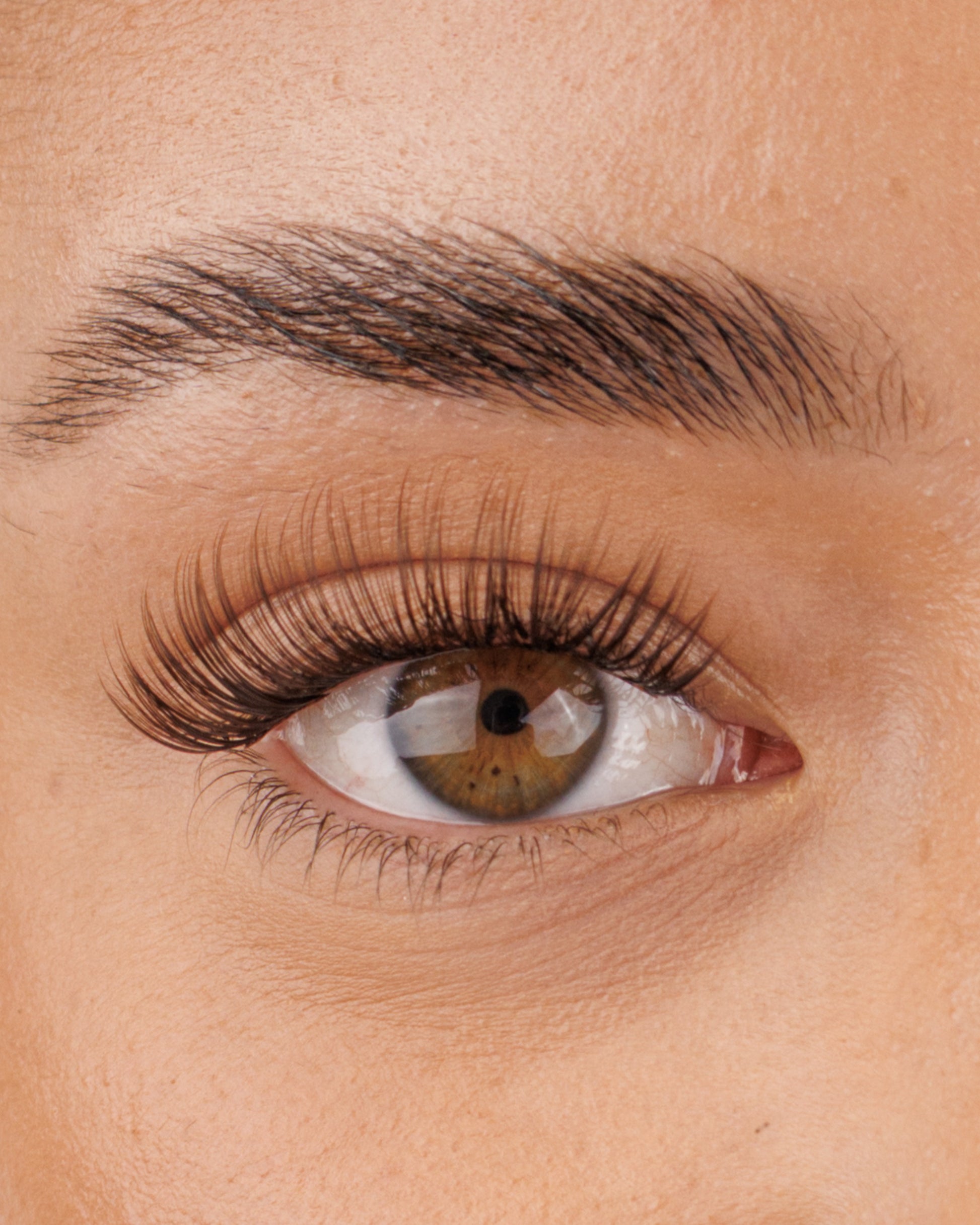Brown The Classy One Pre-Mapped Lashes
