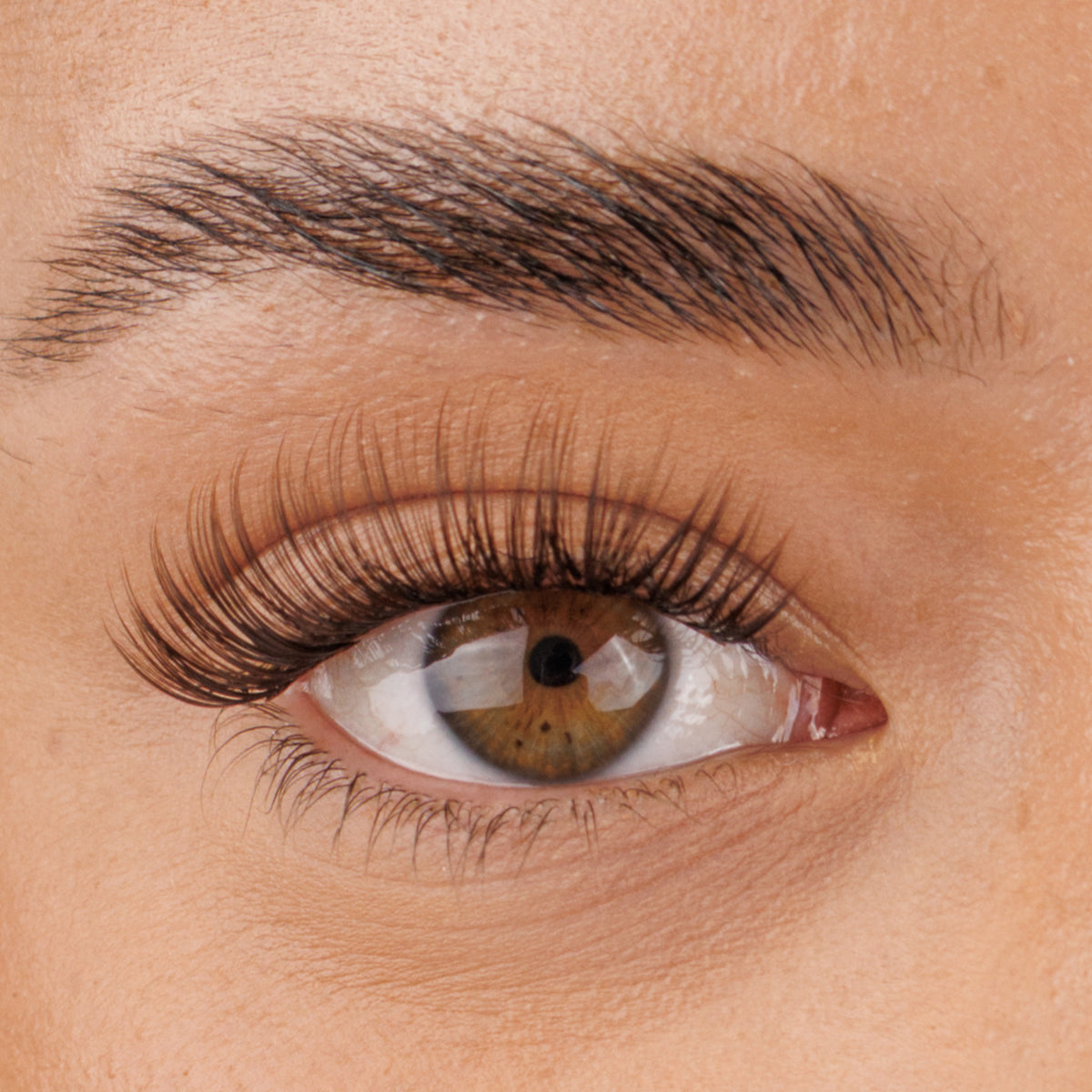Brown The Classy One Pre-Mapped Lashes