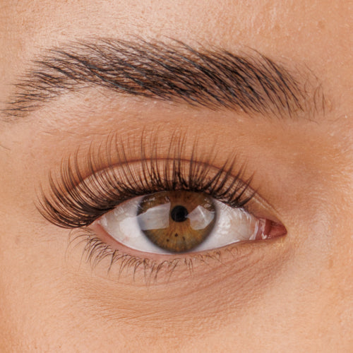 Brown The Classy One Pre-Mapped Lashes