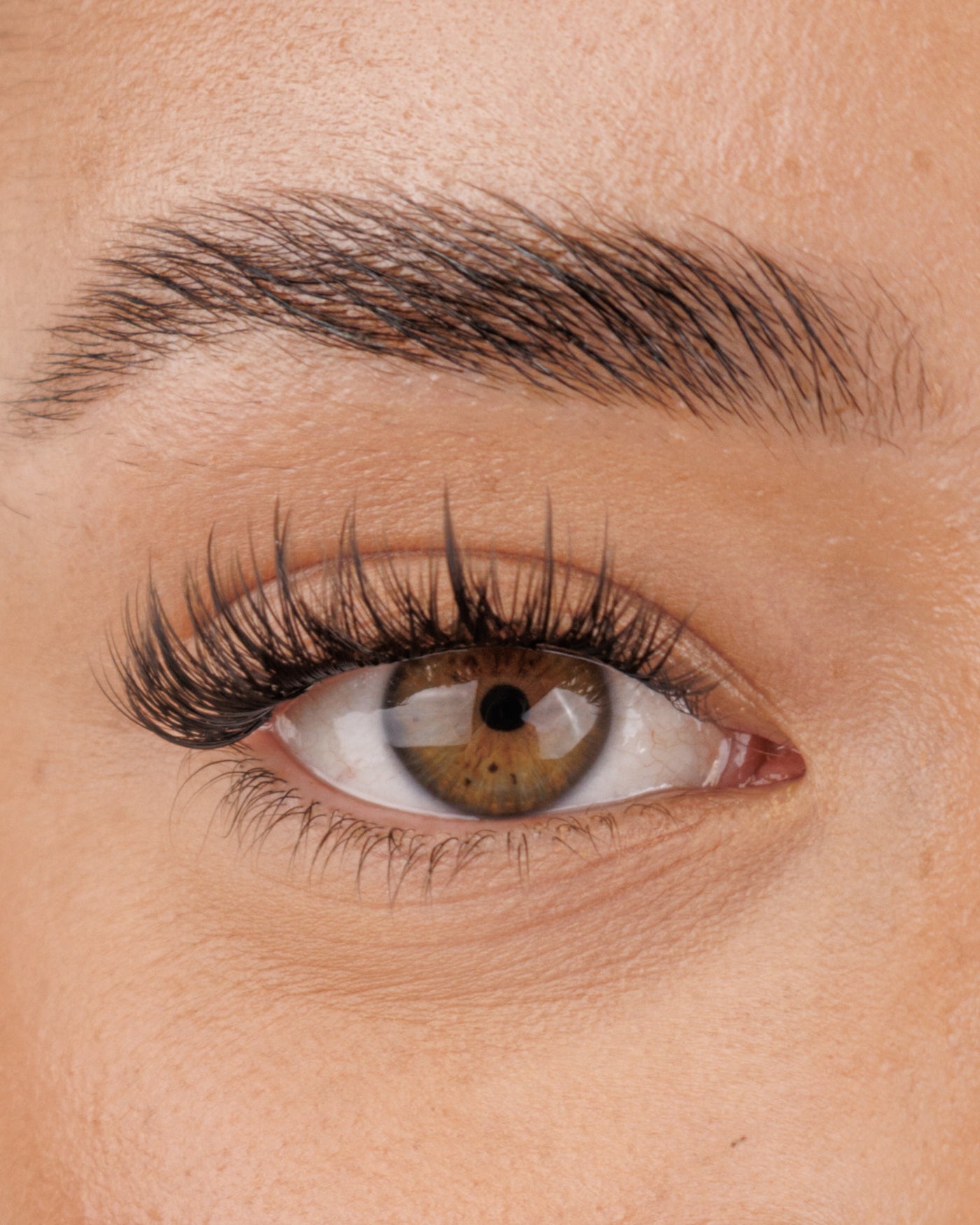 Dainty Pre-Mapped Lashes