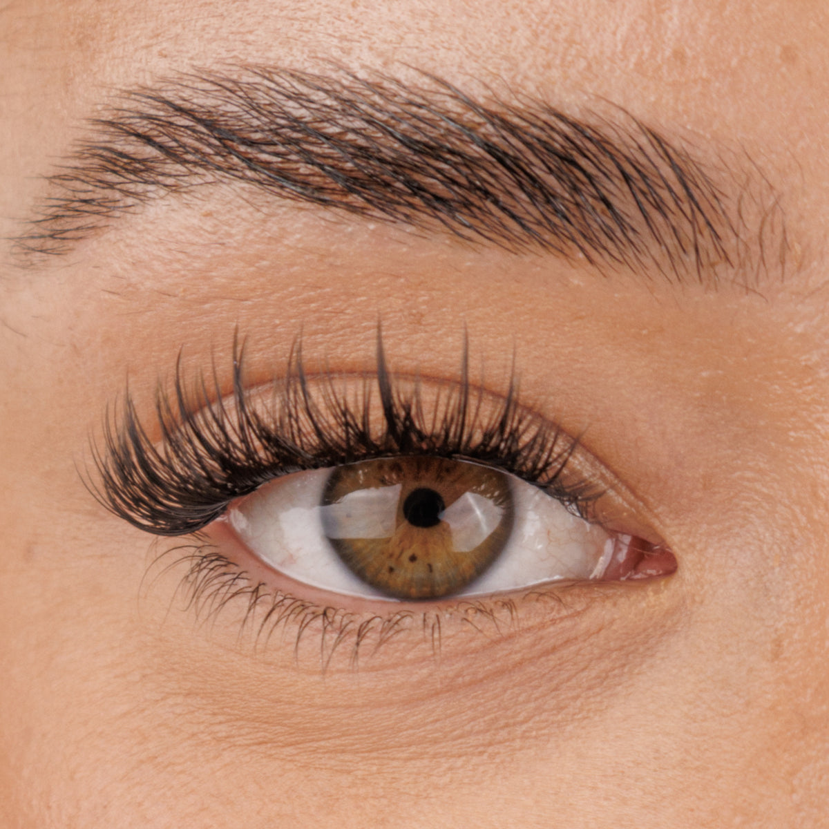 Dainty Pre-Mapped Lashes