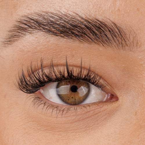 Dainty Pre-Mapped Lashes