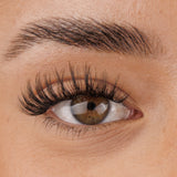 Dolly Pre-Mapped Lashes