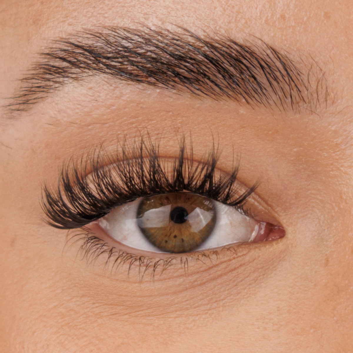 Flawless Lash Pre-Mapped Lashes