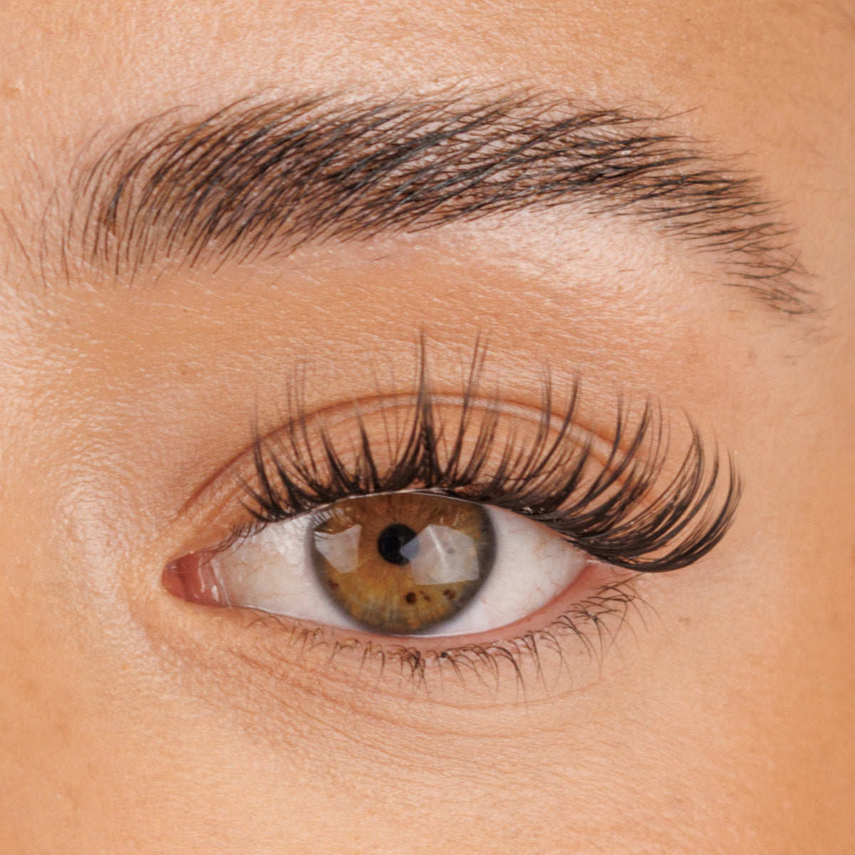 Flirty Pre-Mapped Lashes