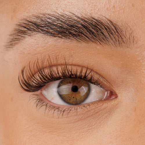 Brown Flirty Pre-Mapped Lashes