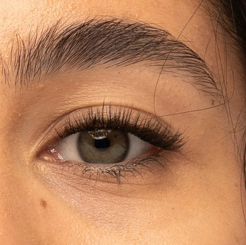 Girl Next Door Pre-Cut Lashes