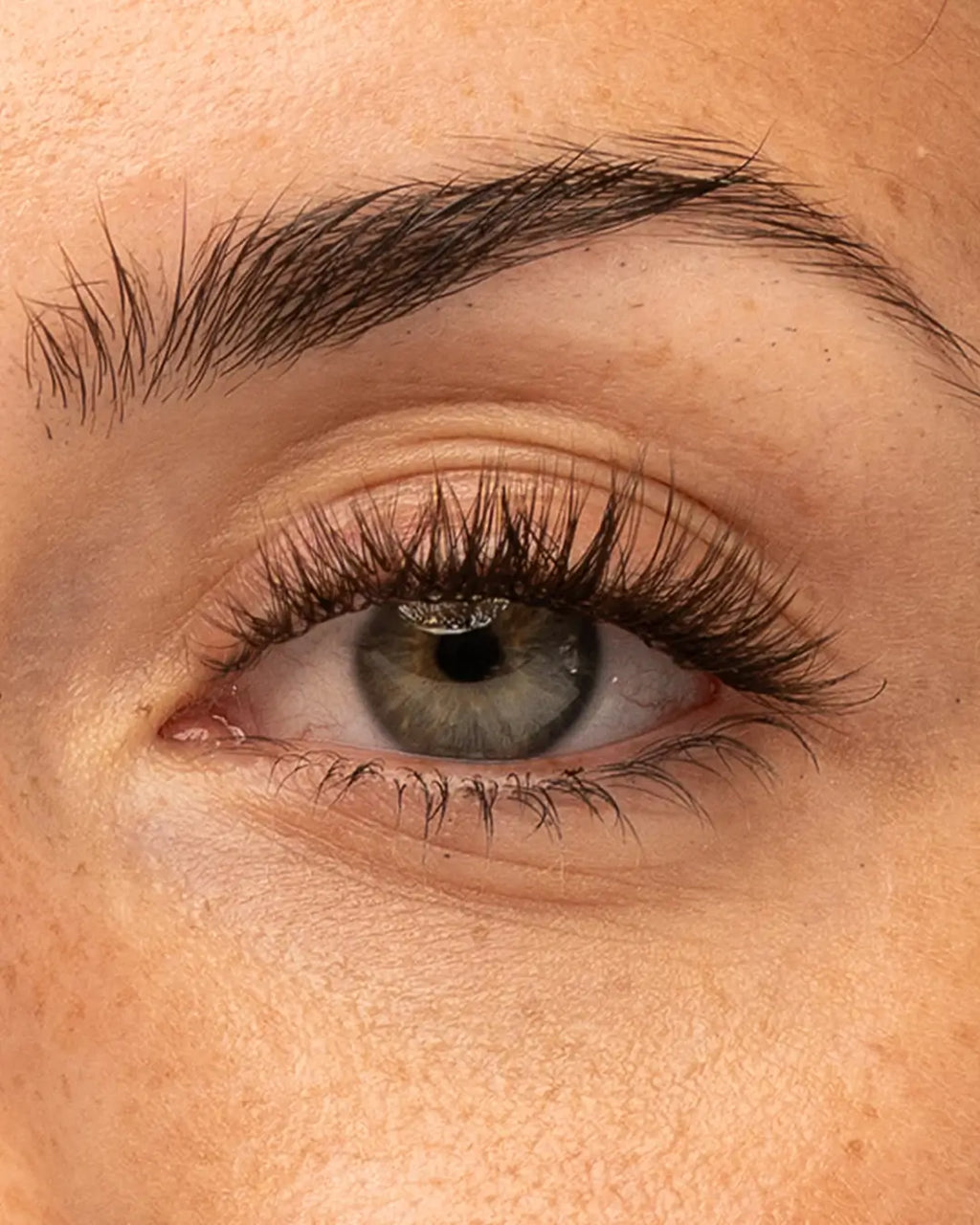 Brown Girl Next Door Pre-Mapped Lashes