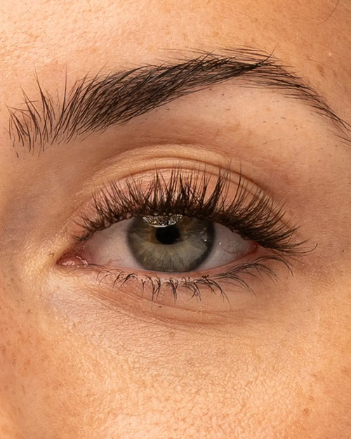 Brown Girl Next Door Pre-Mapped Lashes