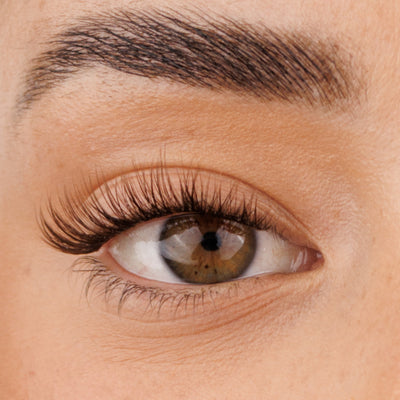 Brown Girl Next Door Pre-Mapped Lashes