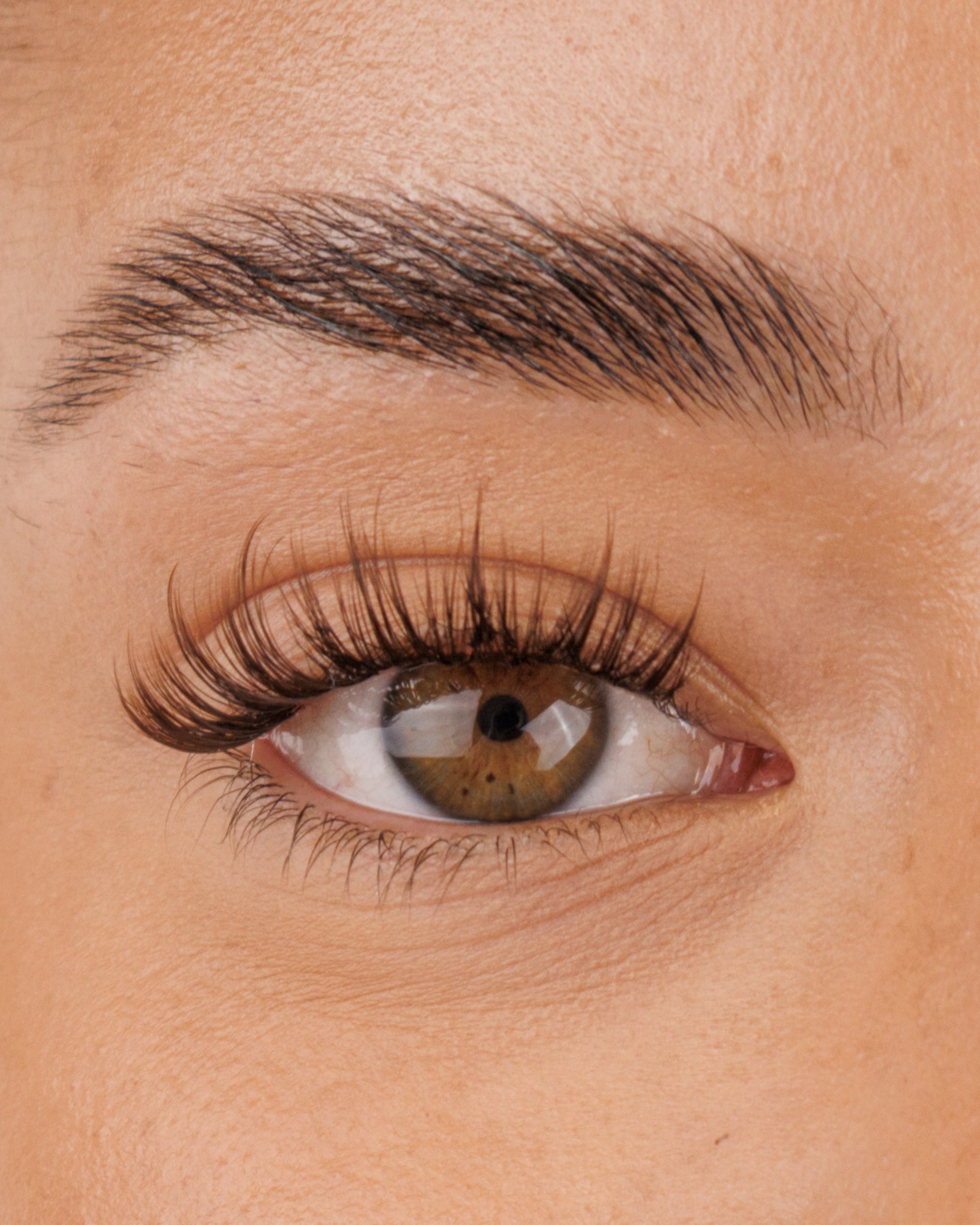 Brown Krazy In Love Pre-Mapped Lashes