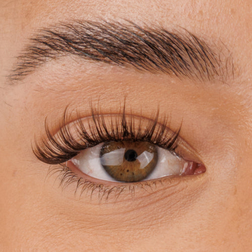 Brown Krazy In Love Pre-Mapped Lashes