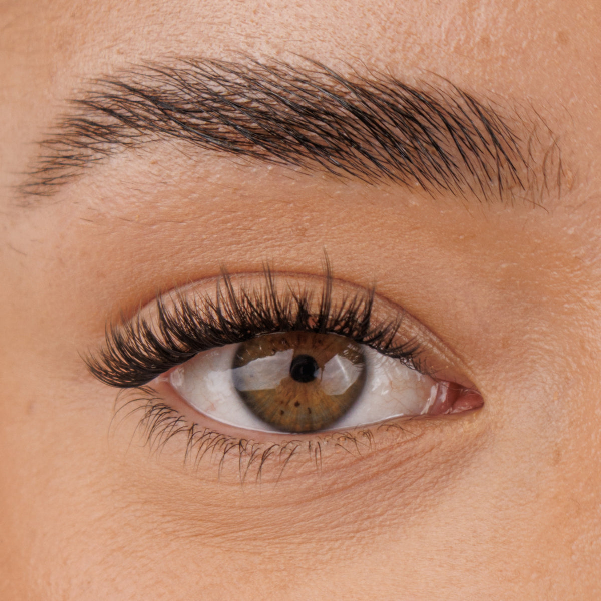 The Minimalist Pre-Mapped Lashes