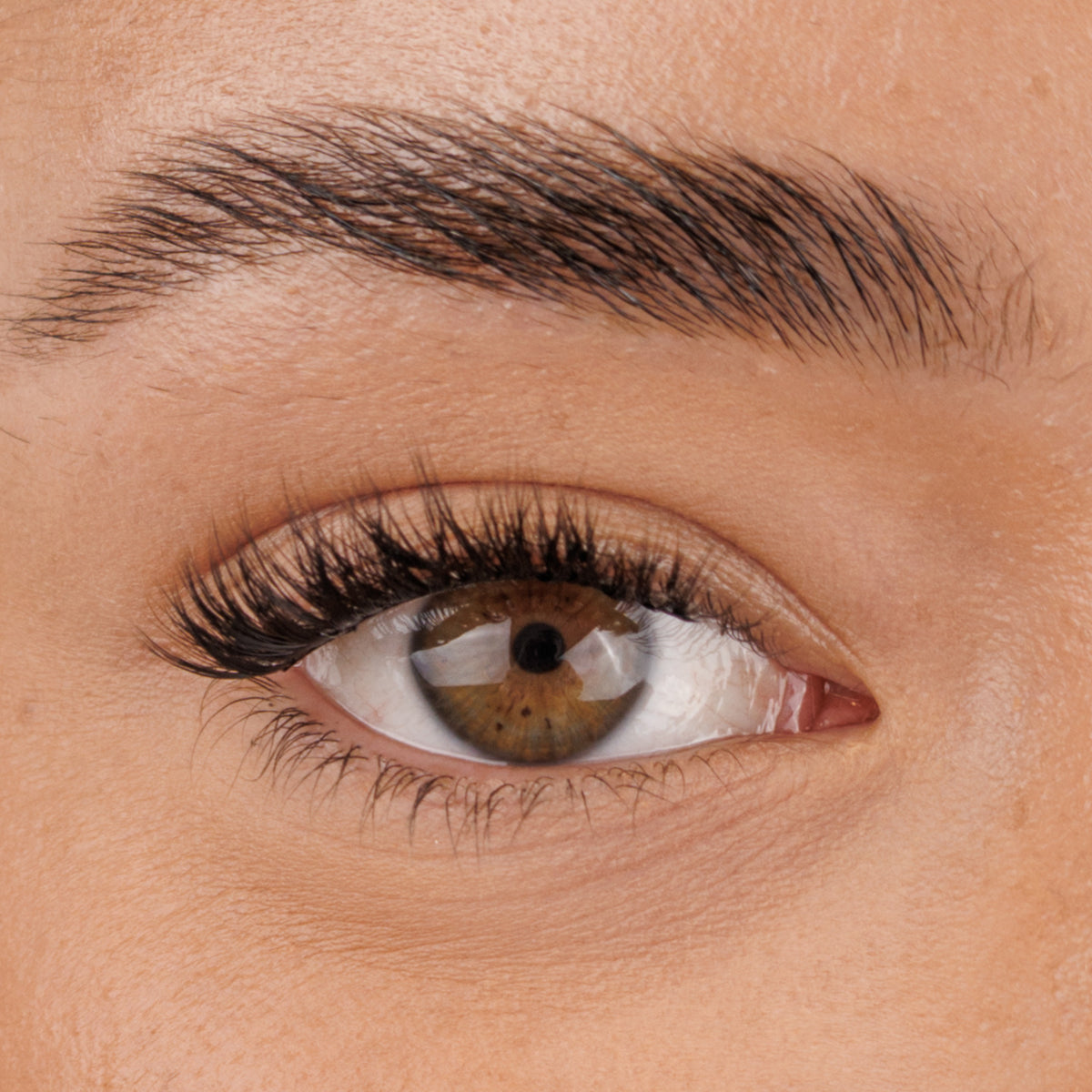 Pre Glued Half-Full Lash No.7