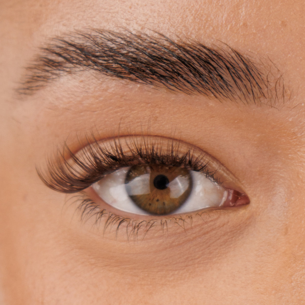 Pre glued Half-Full lash No.9