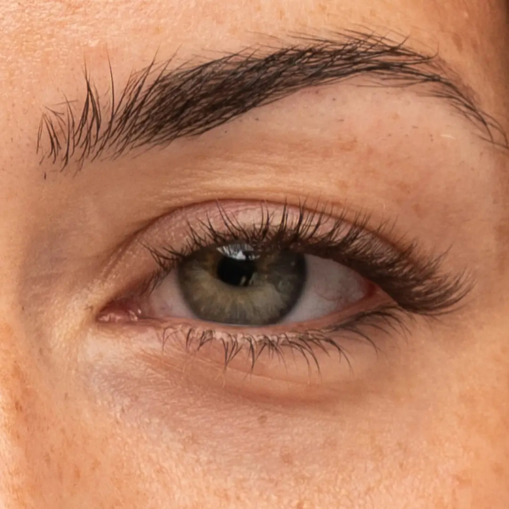 Pre-Glued Starter Kit