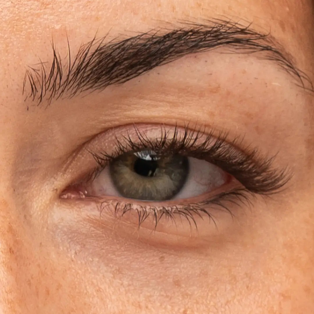 Pre-Glued Starter Kit