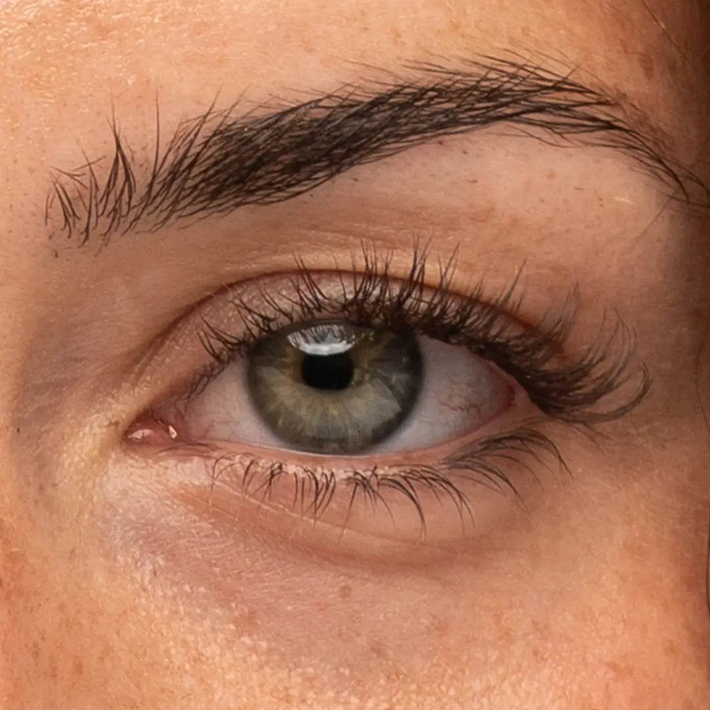 Pre-Glued Starter Kit