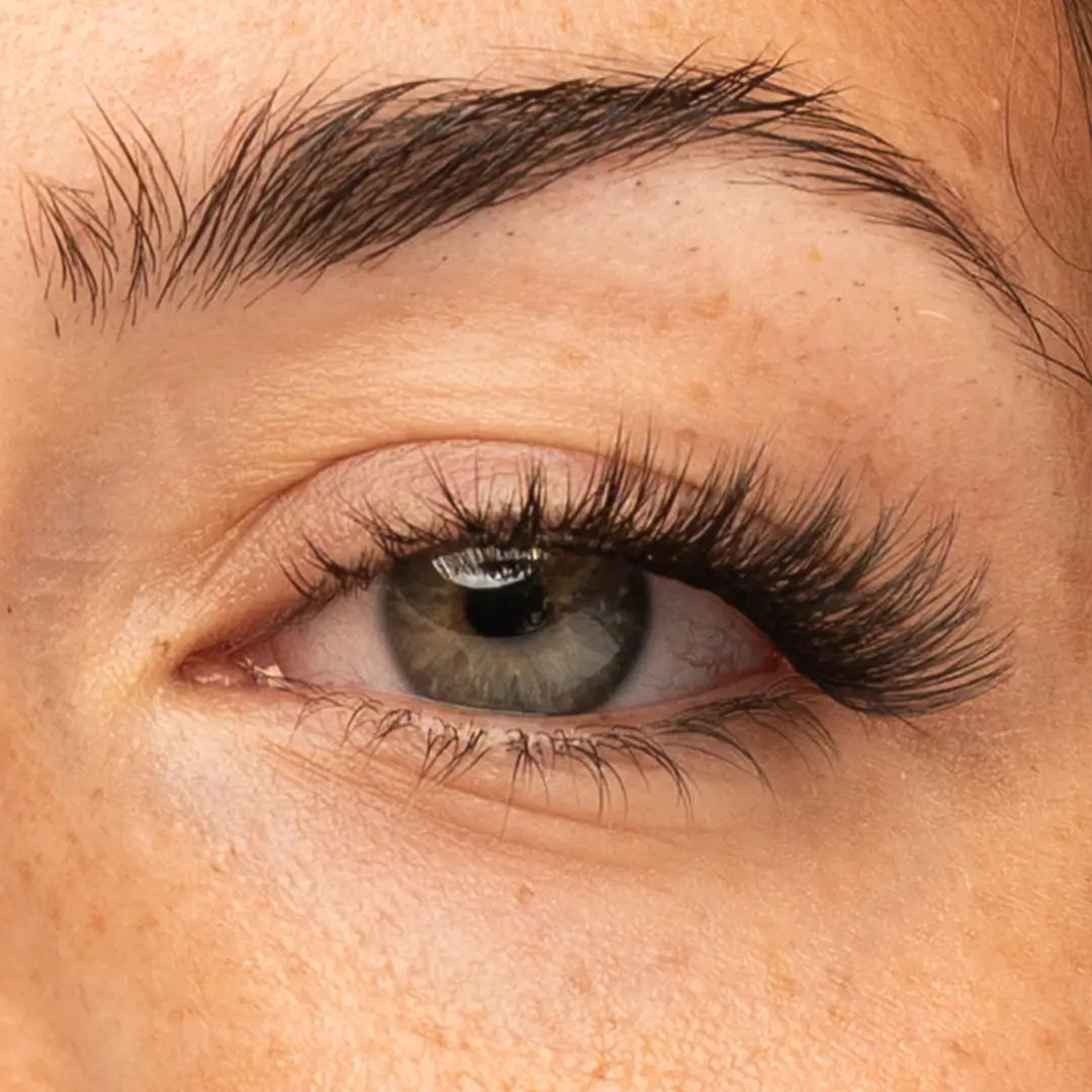 Pre-Glued Starter Kit