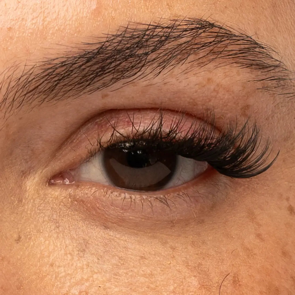 Pre-Glued Starter Kit