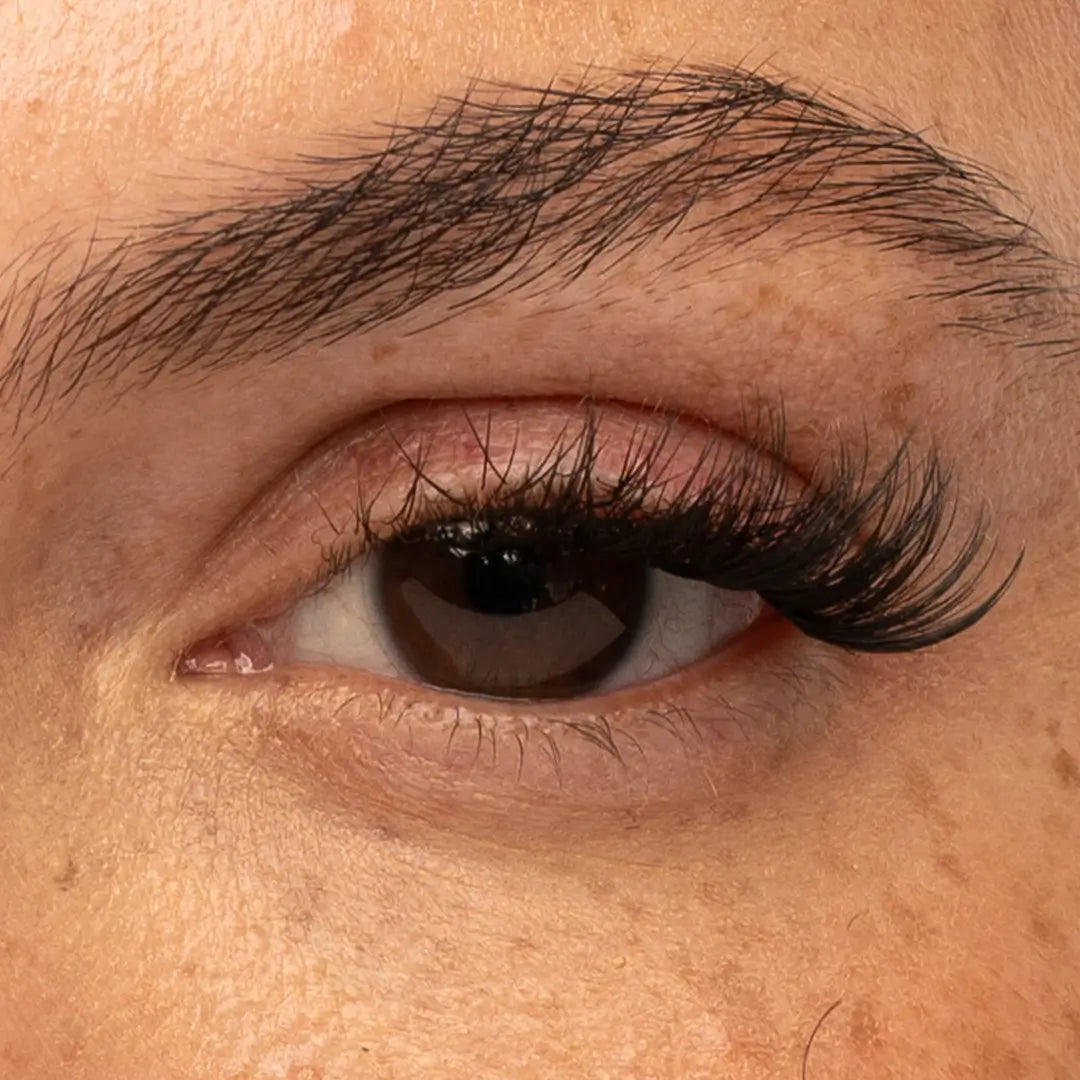 Pre-Glued Starter Kit