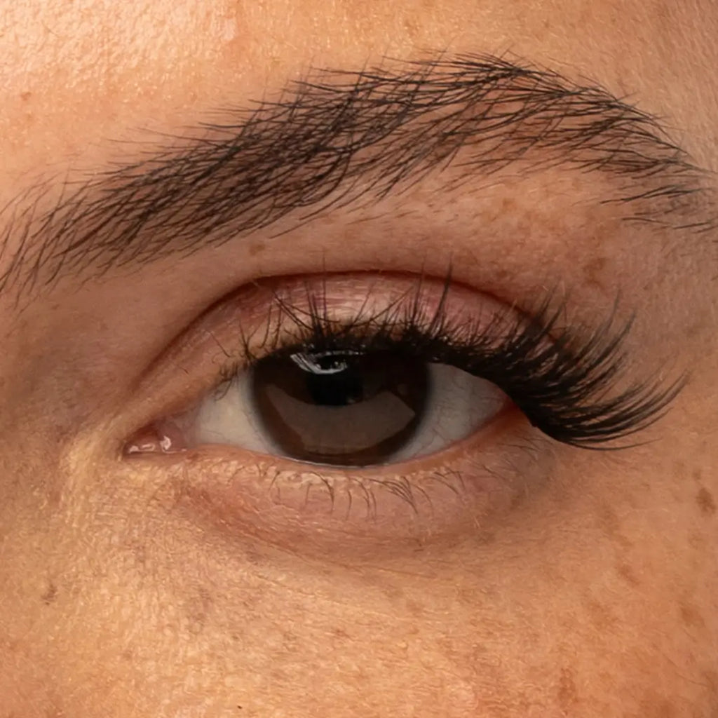 Pre-Glued Starter Kit