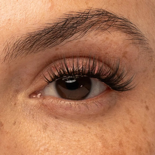 iLash The Classy One Pre-Mapped Lashes