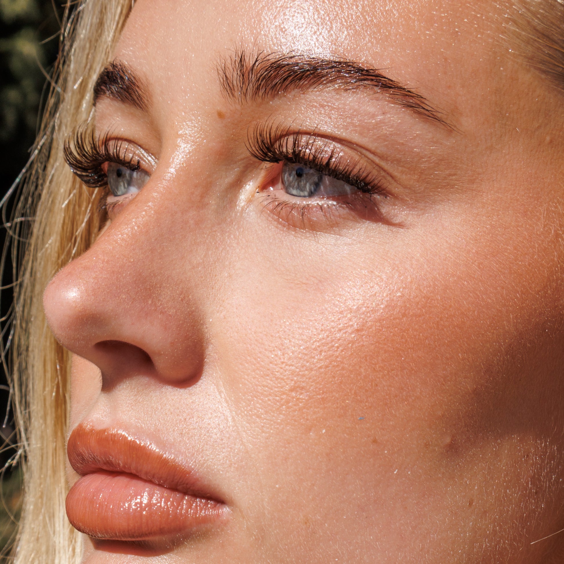 Brown The Classy One Pre-Mapped Lashes