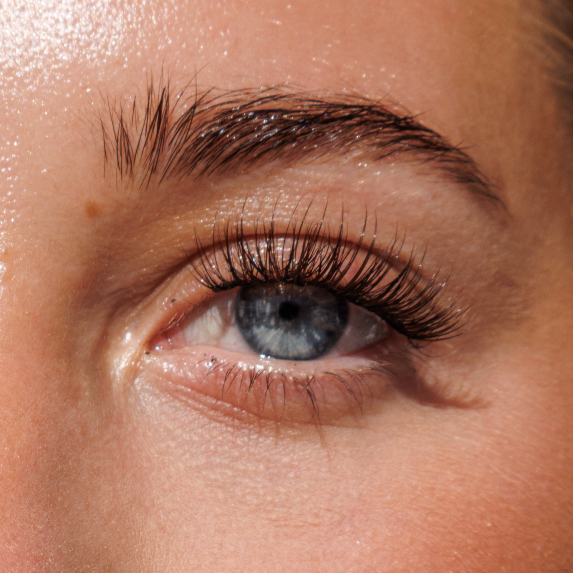 Brown The Classy One Pre-Mapped Lashes