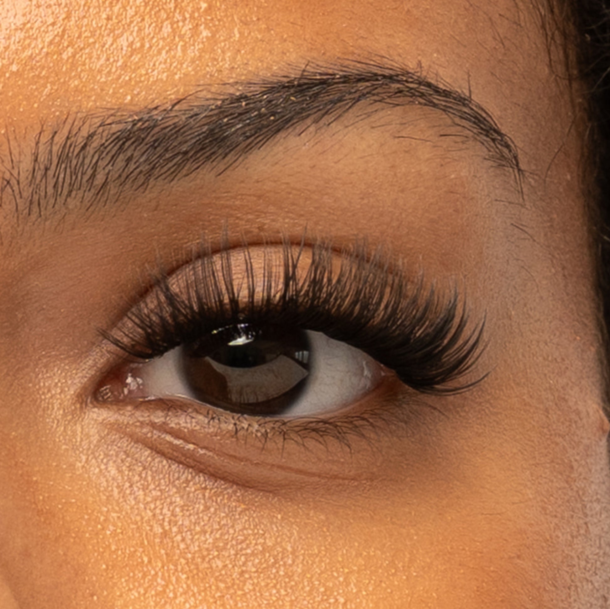 Xoxo Pre Cut Lashes