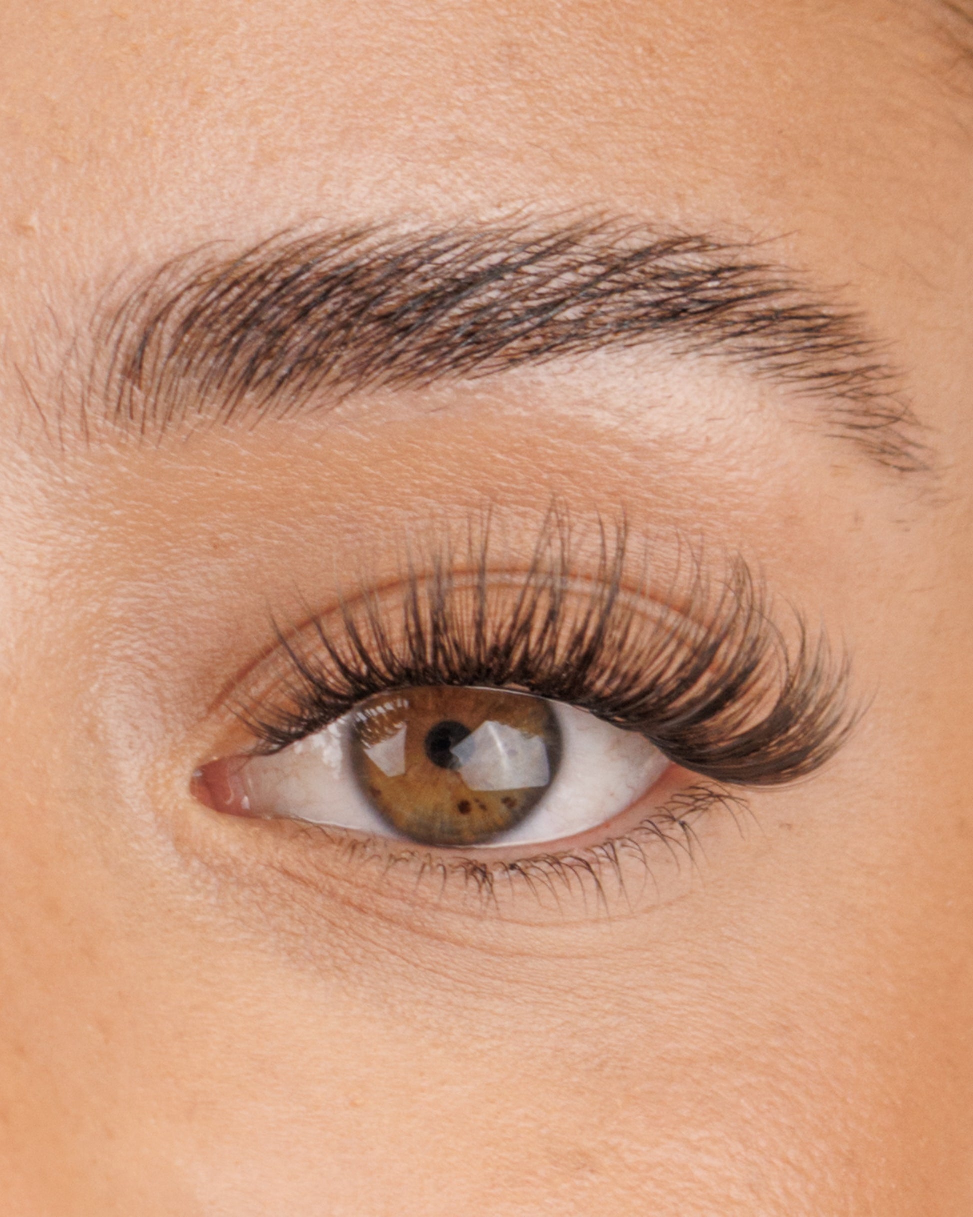 Xoxo Pre-Mapped Lashes