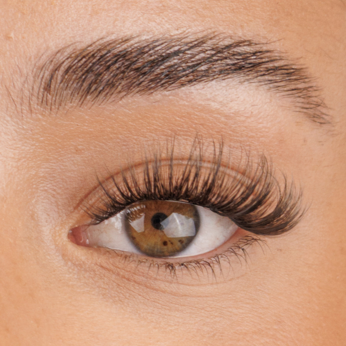 Xoxo Pre-Mapped Lashes