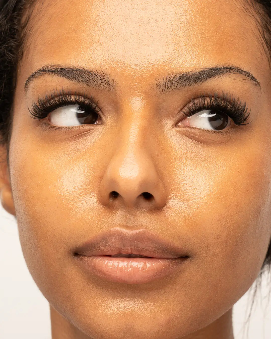 Xoxo Pre-Mapped Lashes