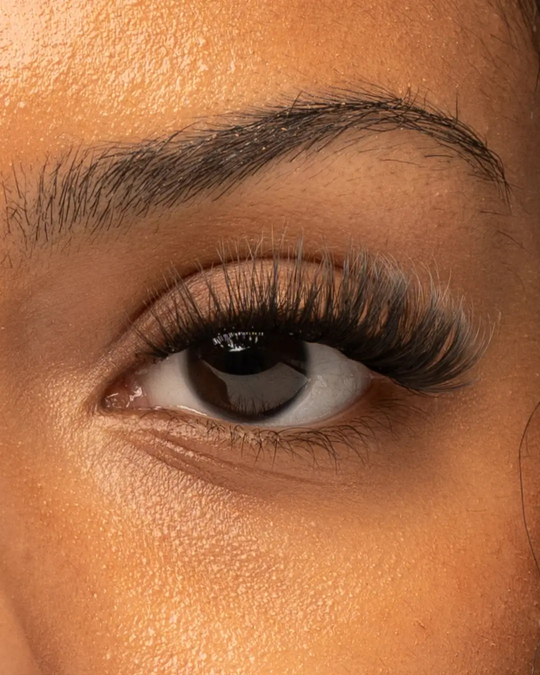 Xoxo Pre-Mapped Lashes